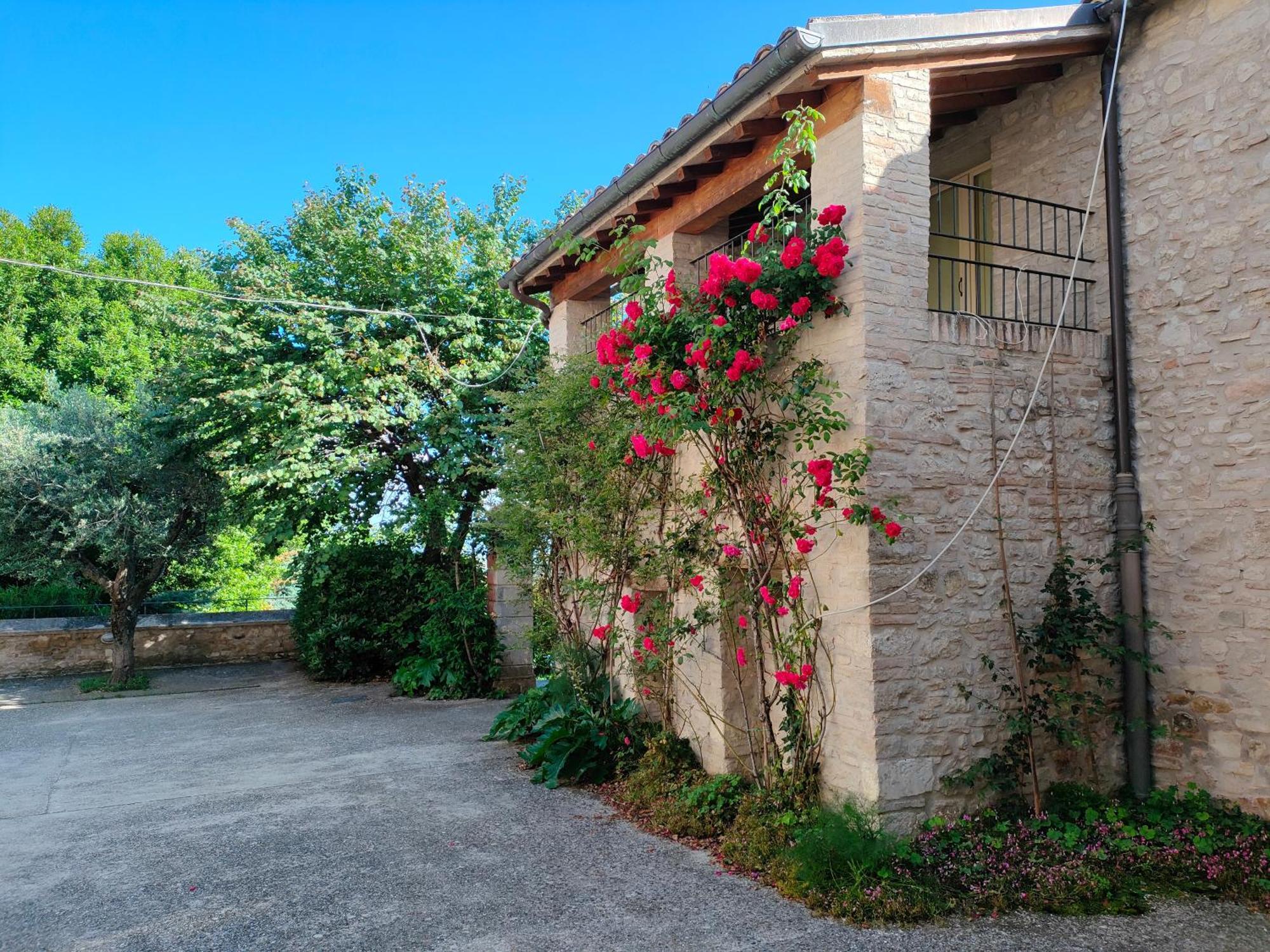 Ferienwohnung La Panoramica Avenale Exterior foto